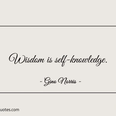 Wisdom is self knowledge ginonorrisquotes