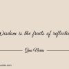 Wisdom is the fruits of reflection ginonorrisquotes