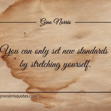 You can only set new standards by stretching yourself ginonorrisquotes