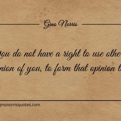 You do not have a right to use others opinion ginonorrisquotes