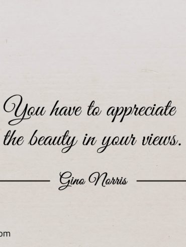You have to appreciate the beauty in your views ginonorrisquotes