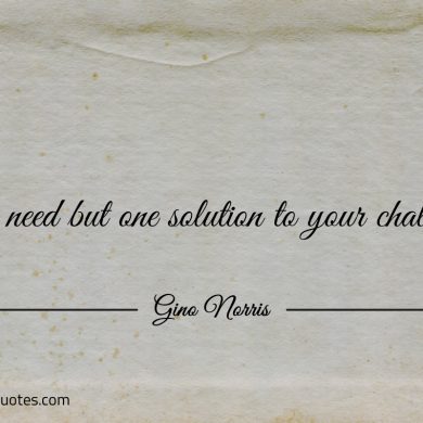 You need but one solution to your challenge ginonorrisquotes