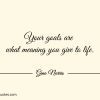 Your goals are what meaning you give to life ginonorrisquotes