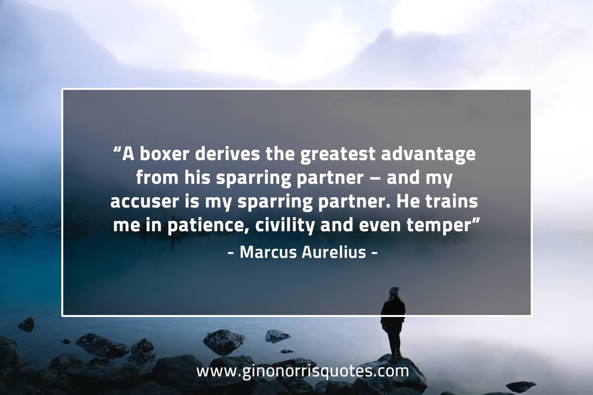 A boxer derives the greatest advantage MarcusAureliusQuotes