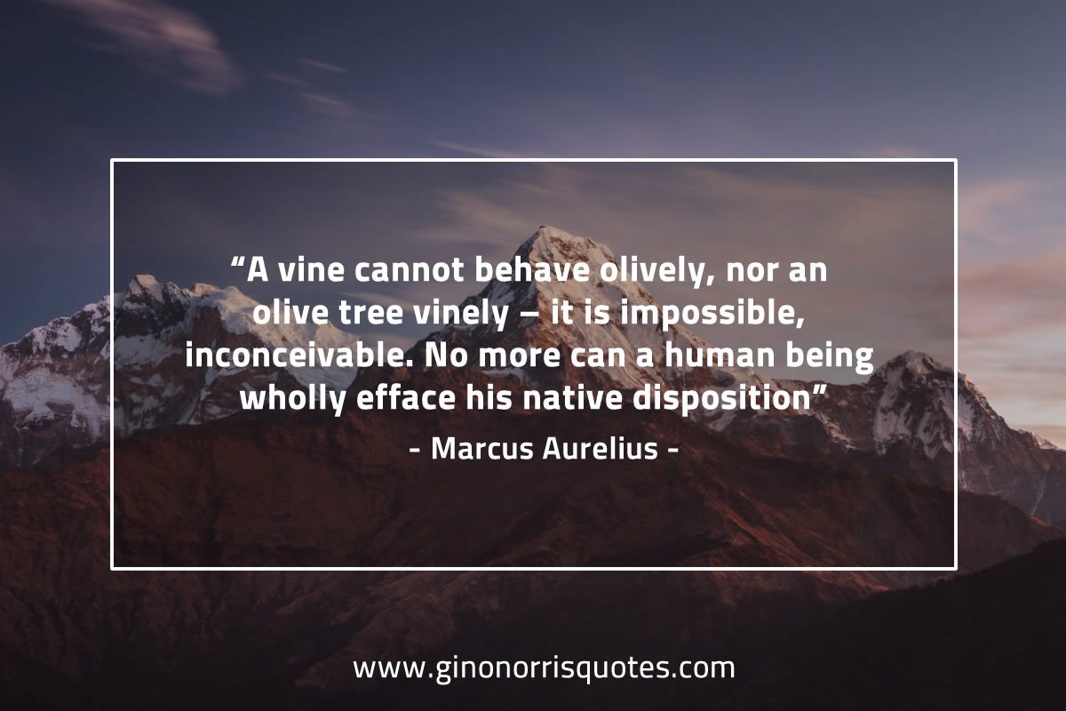 A vine cannot behave olively MarcusAureliusQuotes