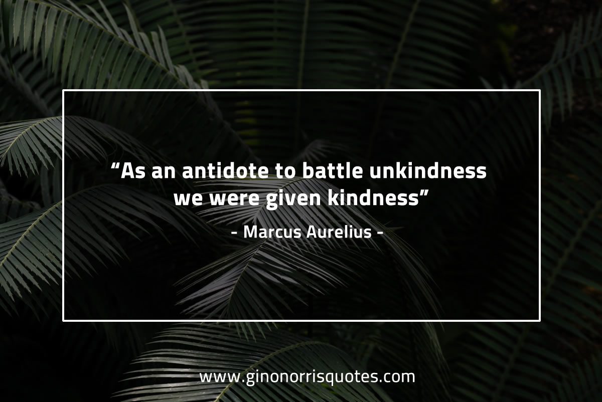 As an antidote to battle unkindness MarcusAureliusQuotes