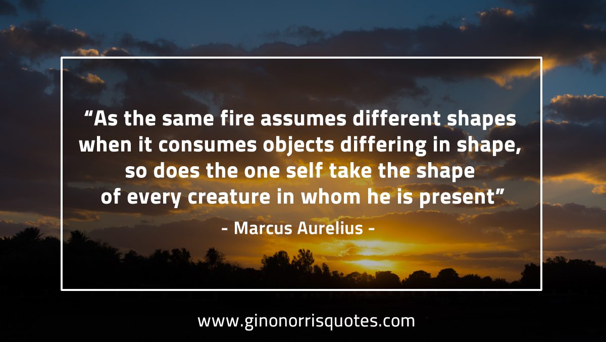 As the same fire assumes different shapes MarcusAureliusQuotes