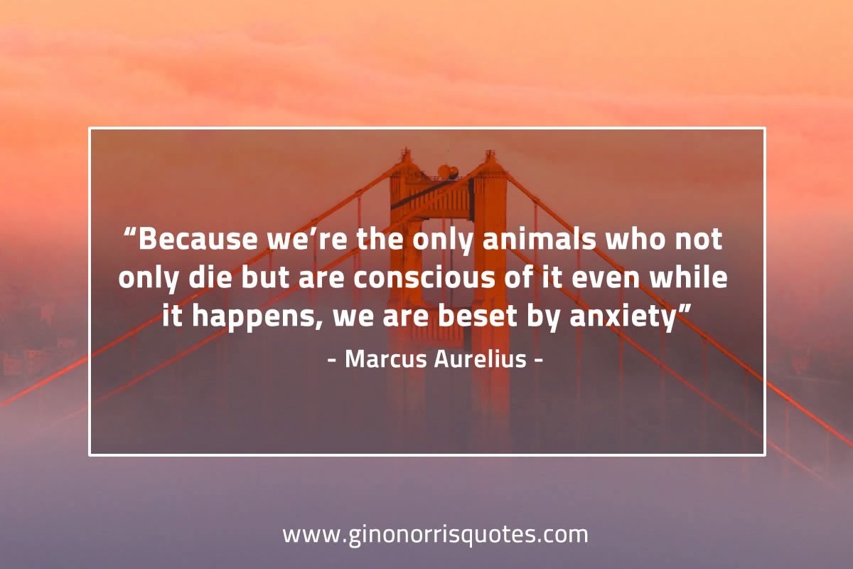 Because we’re the only animals who MarcusAureliusQuotes