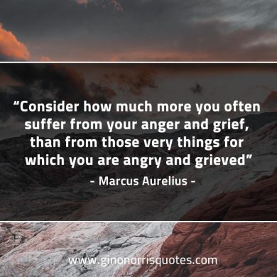 Consider how much more you often suffer MarcusAureliusQuotes