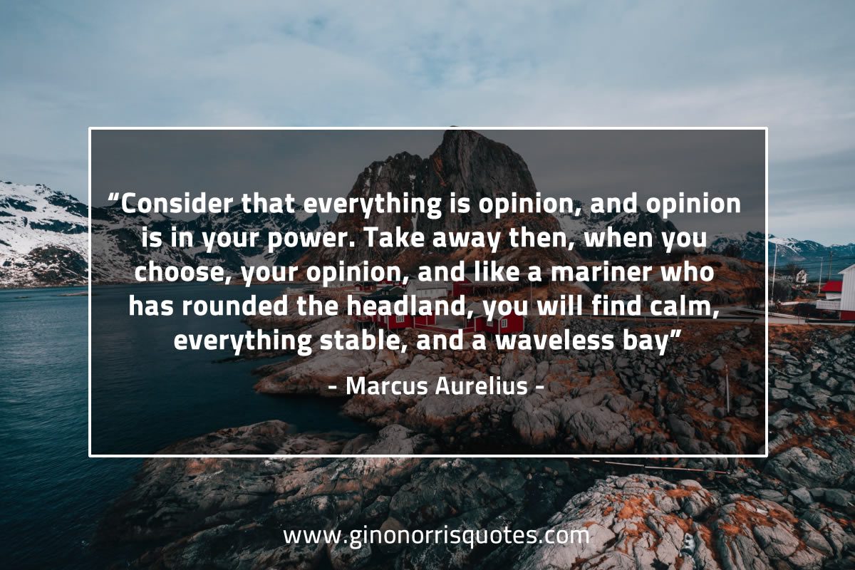 Consider that everything is opinion MarcusAureliusQuotes