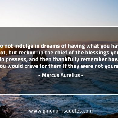 Do not indulge in dreams of having MarcusAureliusQuotes