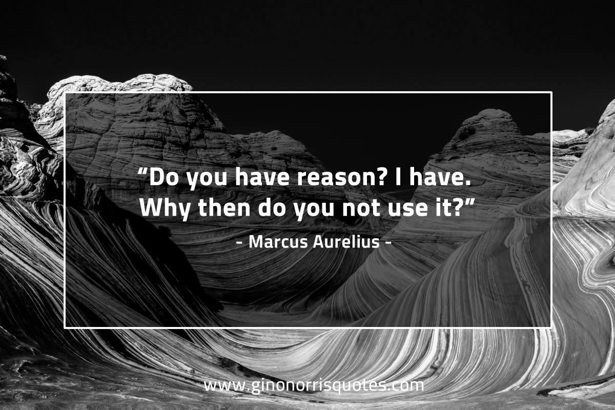 Do you have reason MarcusAureliusQuotes