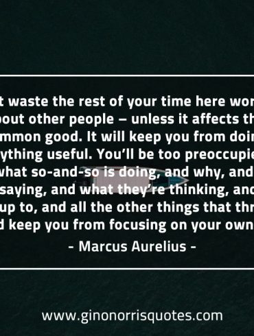 Don’t waste the rest of your time MarcusAureliusQuotes