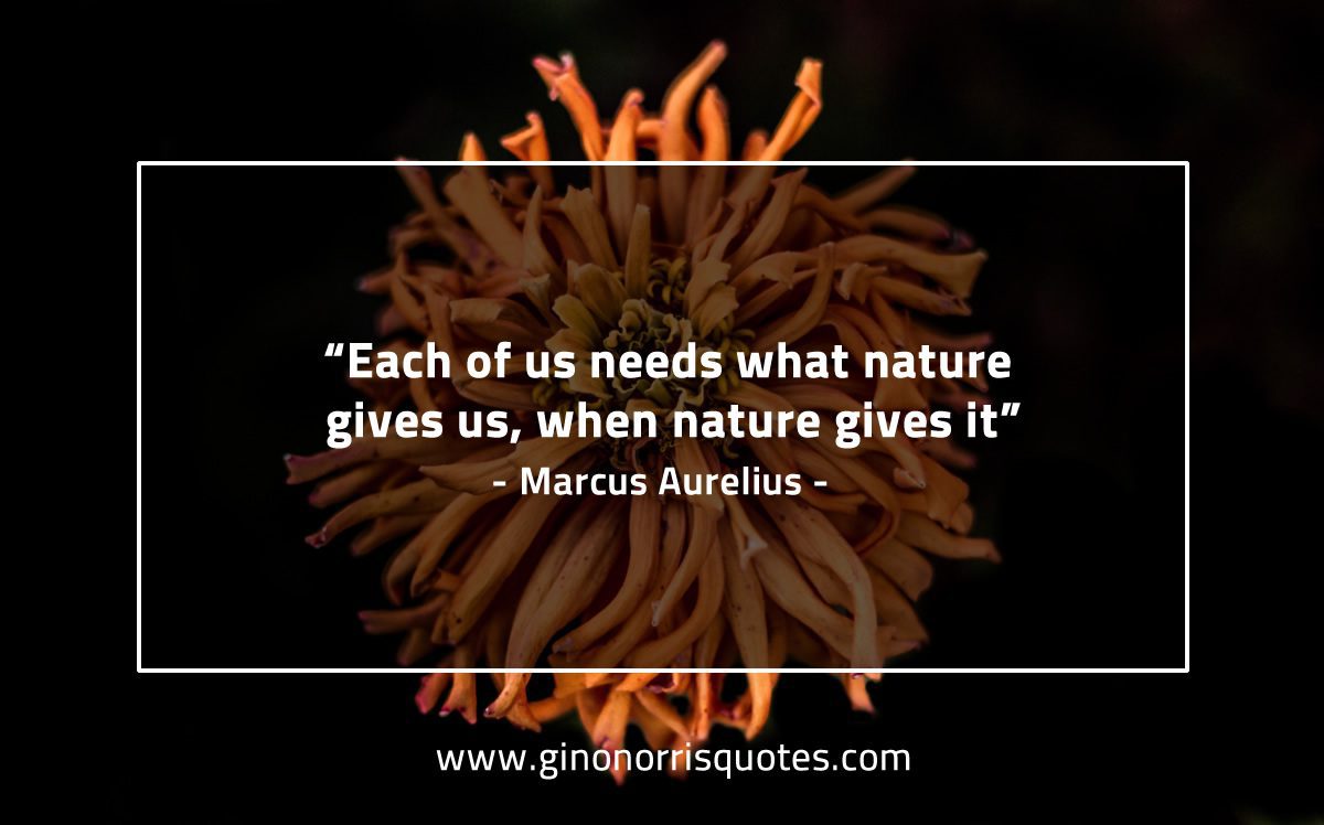 Each of us needs what nature MarcusAureliusQuotes