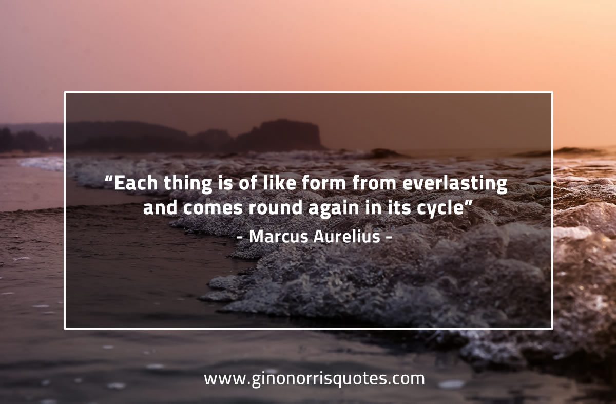 Each thing is of like form MarcusAureliusQuotes