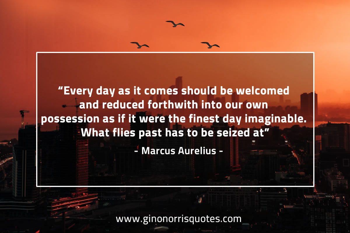Every day as it comes should be welcomed MarcusAureliusQuotes