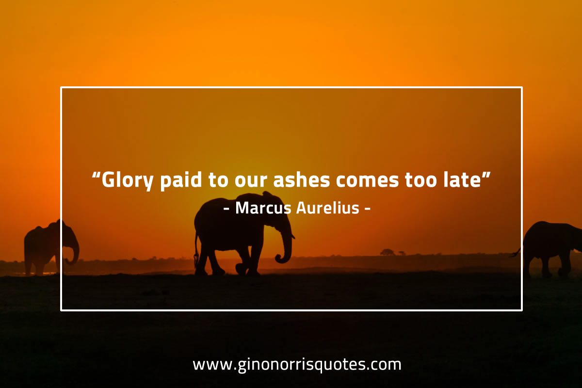 Glory paid to our ashes MarcusAureliusQuotes