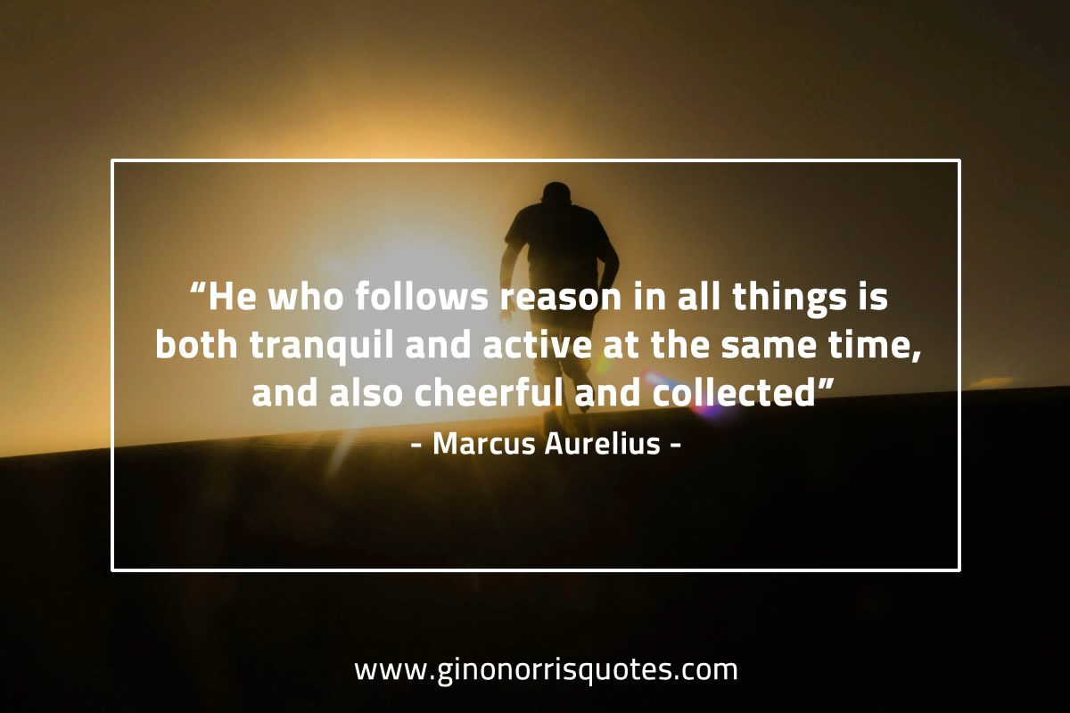 He who follows reason MarcusAureliusQuotes