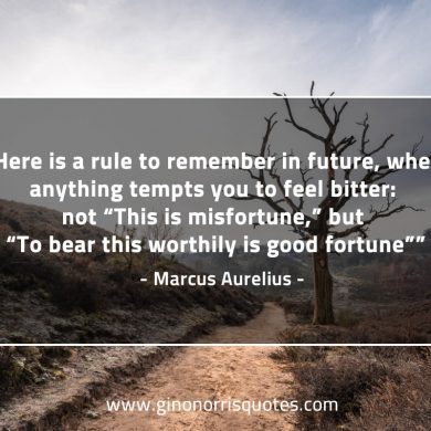 Here is a rule to remember in future MarcusAureliusQuotes