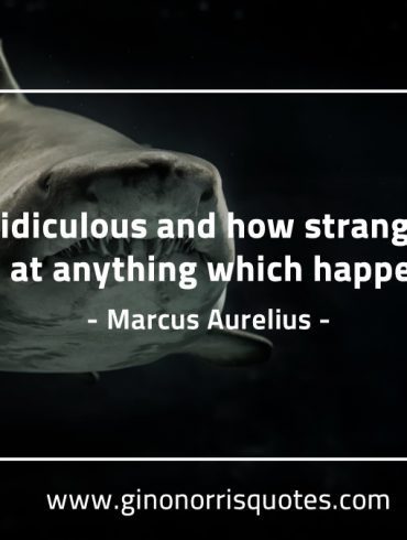 How ridiculous and how strange MarcusAureliusQuotes