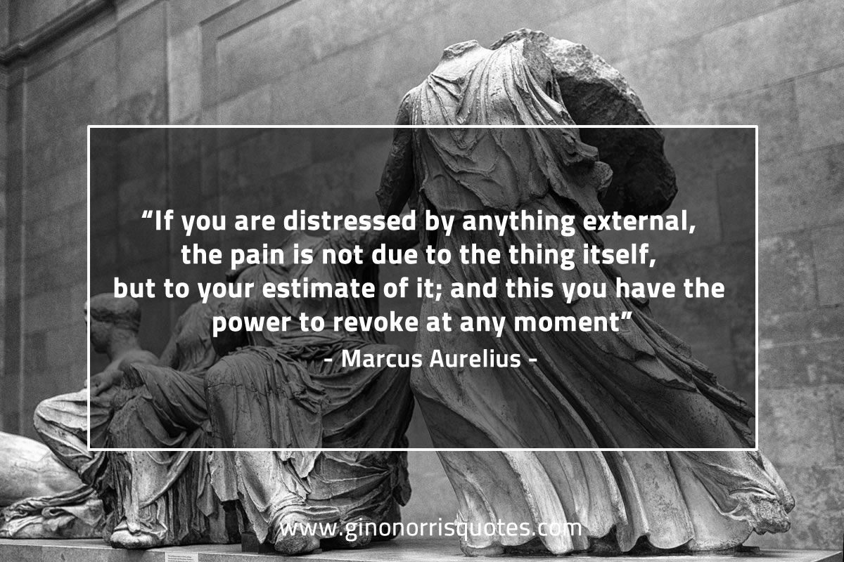 If you are distressed by anything external MarcusAureliusQuotes