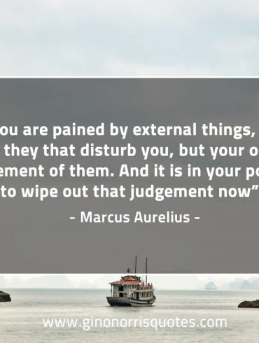 If you are pained by external things MarcusAureliusQuotes