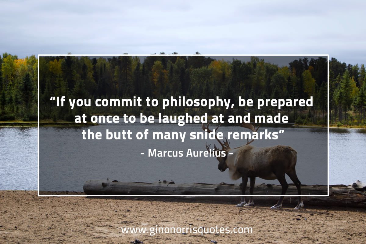 If you commit to philosophy MarcusAureliusQuotes