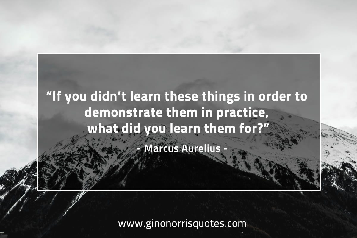 If you didn’t learn these things MarcusAureliusQuotes