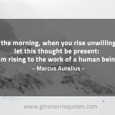 In the morning when you rise unwillingly MarcusAureliusQuotes
