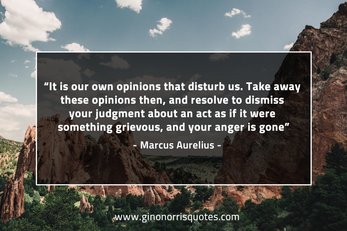 It is our own opinions that disturb us MarcusAureliusQuotes