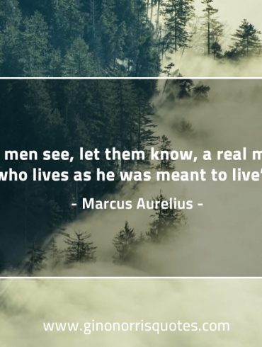 Let men see let them know a real man MarcusAureliusQuotes