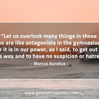 Let us overlook many things MarcusAureliusQuotes