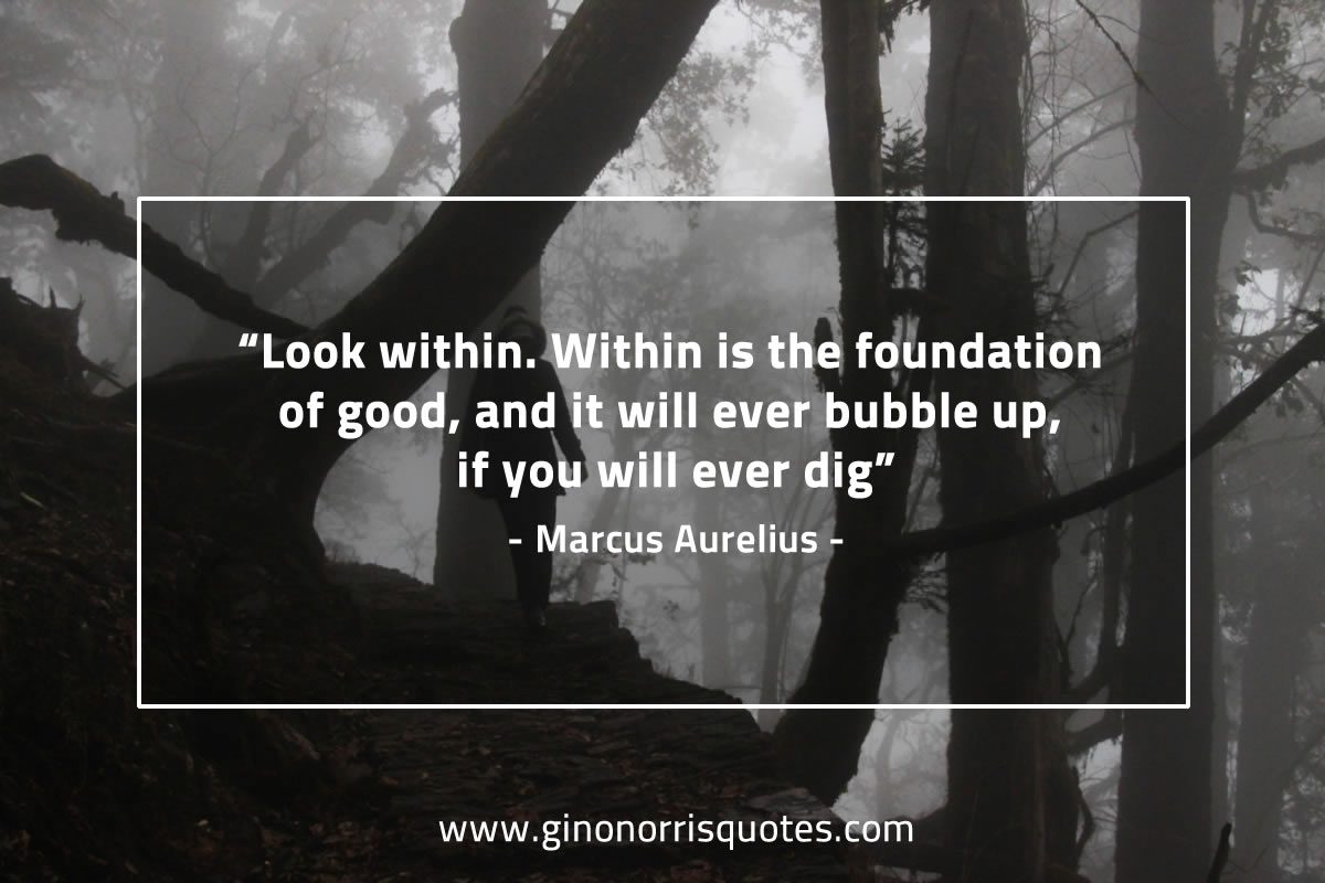 Look within MarcusAureliusQuotes