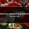 Misfortune nobly born is good fortune MarcusAureliusQuotes