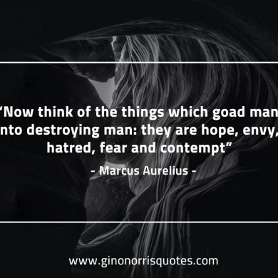 Now think of the things which goad man MarcusAureliusQuotes