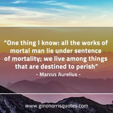One thing I know all the works of mortal man MarcusAureliusQuotes