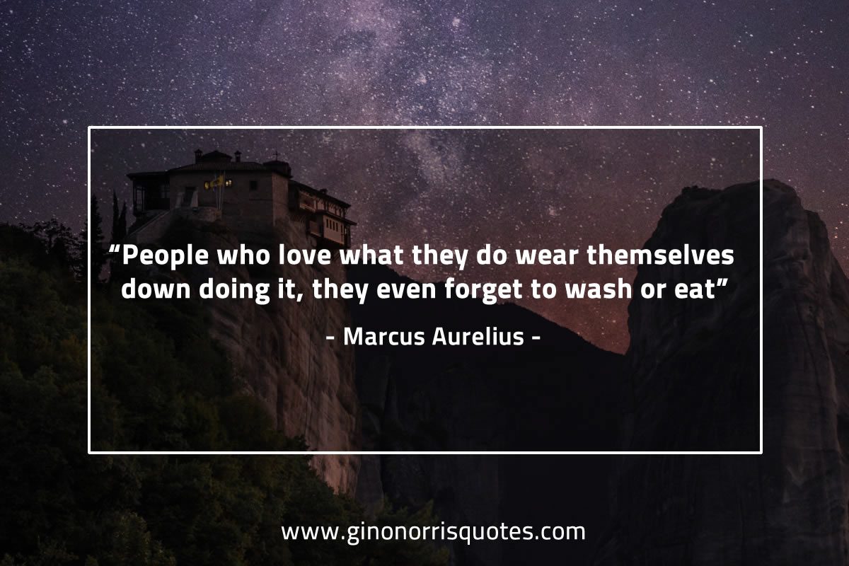 People who love what they do MarcusAureliusQuotes