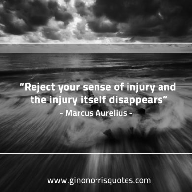 Reject your sense of injury MarcusAureliusQuotes