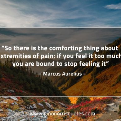 So there is the comforting thing MarcusAureliusQuotes