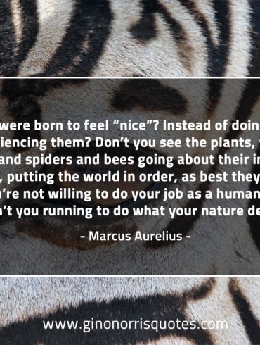 So you were born to feel MarcusAureliusQuotes