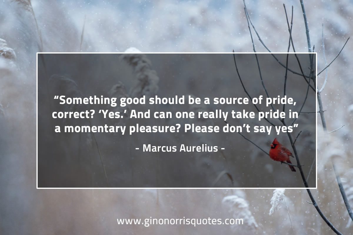 Something good should be a source of pride MarcusAureliusQuotes