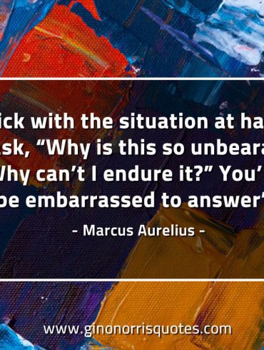 Stick with the situation at hand MarcusAureliusQuotes