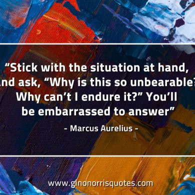 Stick with the situation at hand MarcusAureliusQuotes