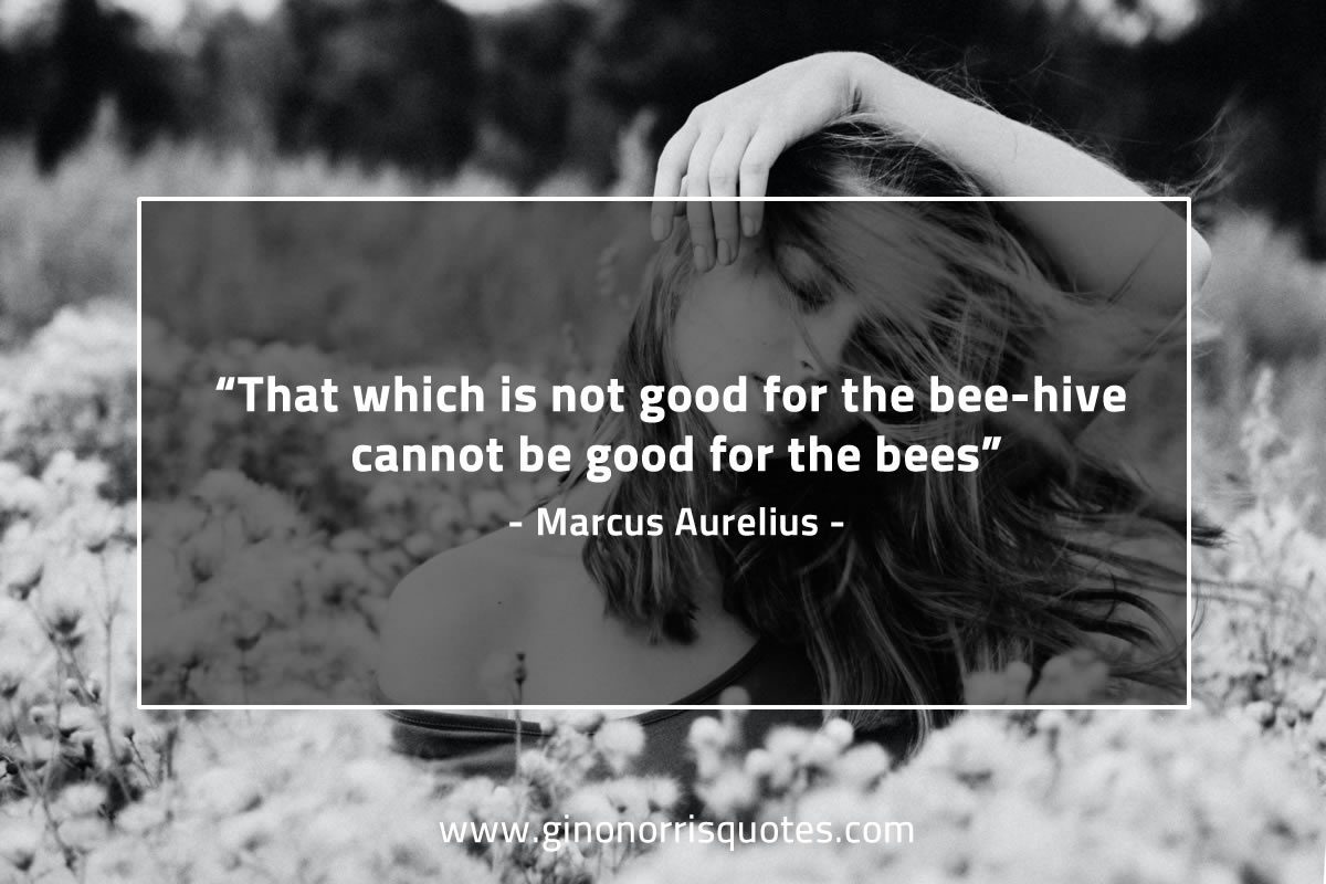 That which is not good MarcusAureliusQuotes