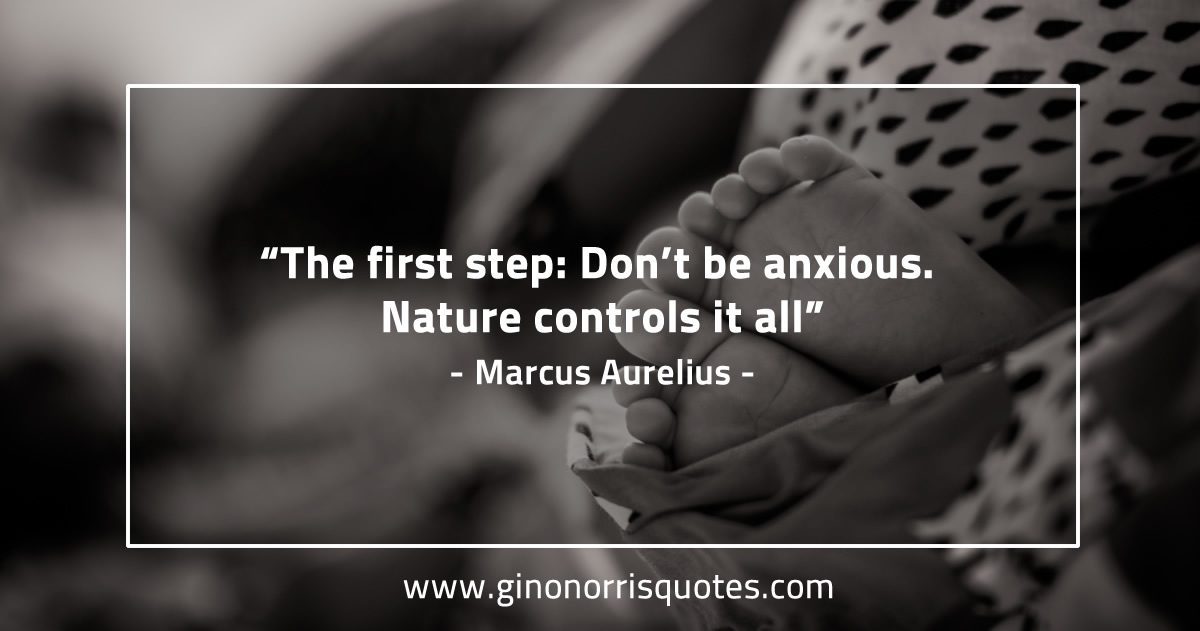 The first step MarcusAureliusQuotes