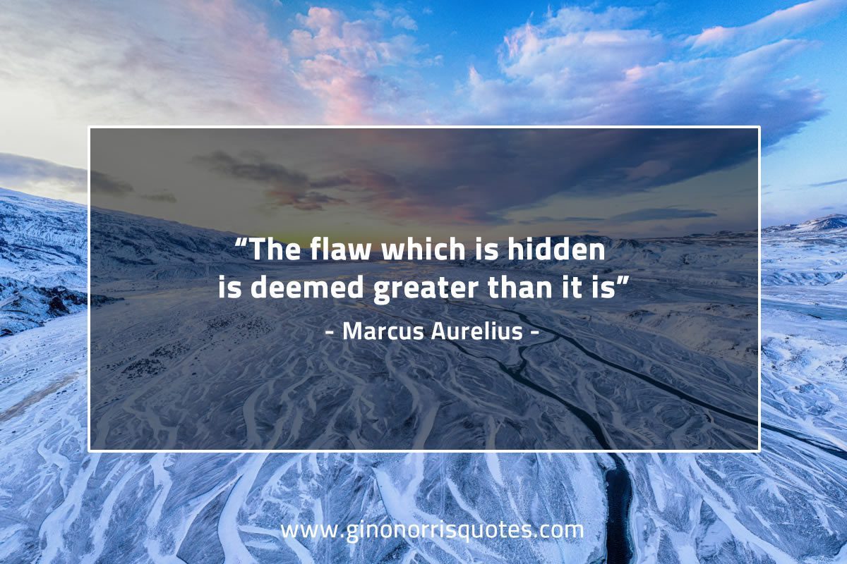 The flaw which is hidden MarcusAureliusQuotes