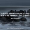 The only wealth which you will keep forever MarcusAureliusQuotes