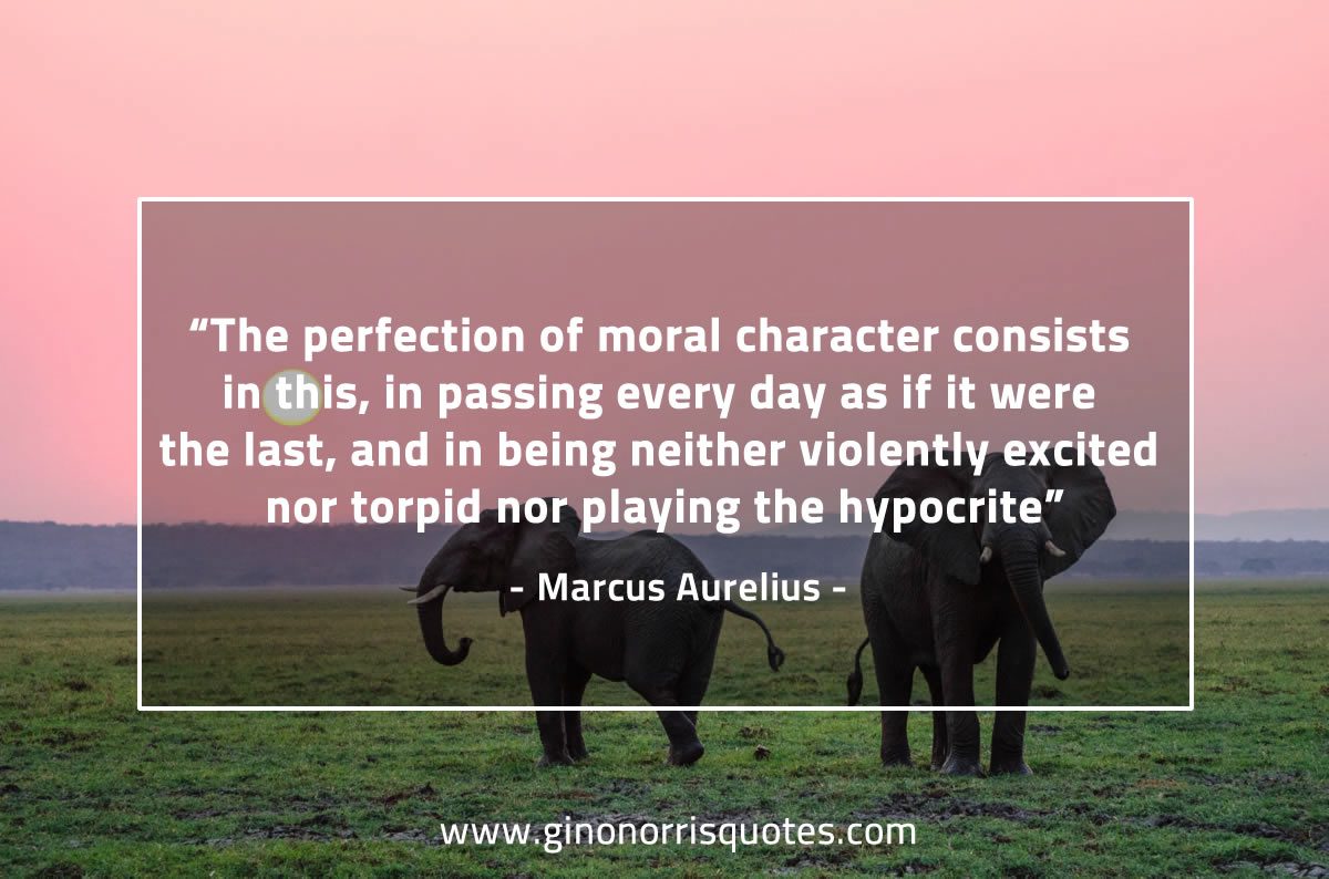The perfection of moral character MarcusAureliusQuotes