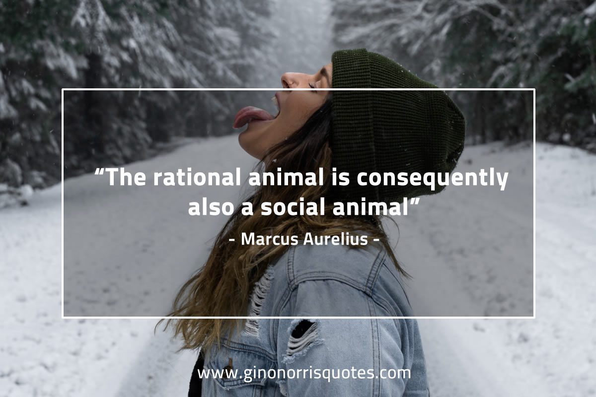 The rational animal is consequently MarcusAureliusQuotes