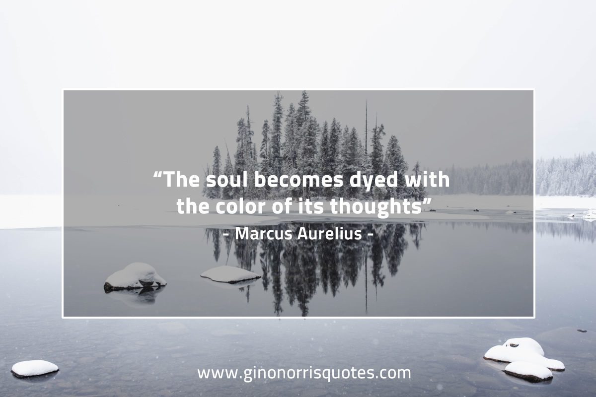 The soul becomes dyed MarcusAureliusQuotes
